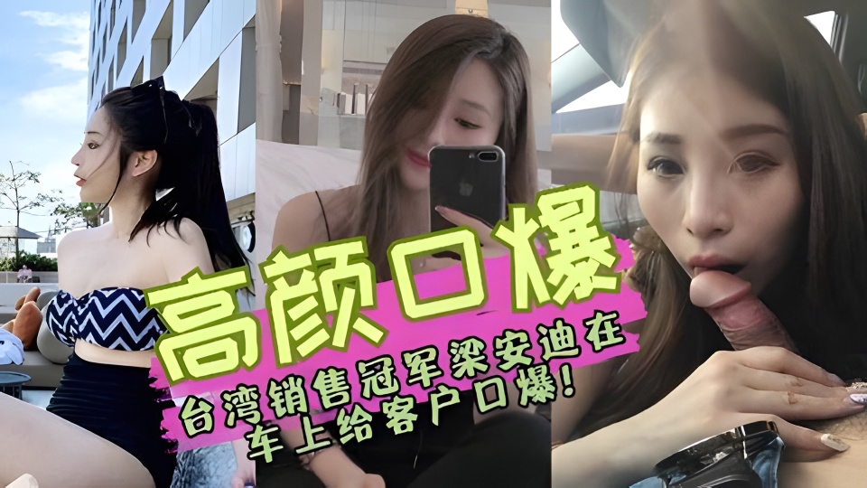 台湾销售冠军梁安迪在车上给客户口爆
